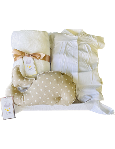 canastillas de regalo para bebés canastilla online