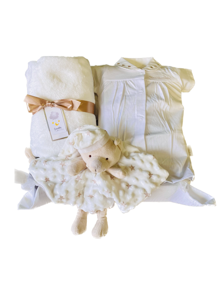 canastillas de regalo para bebés canastilla online