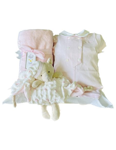 canastillas de regalo para bebés canastilla online