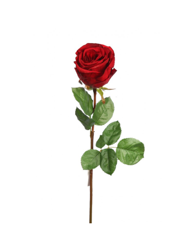 Rosa preservada
