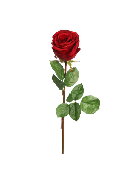 Rosa preservada